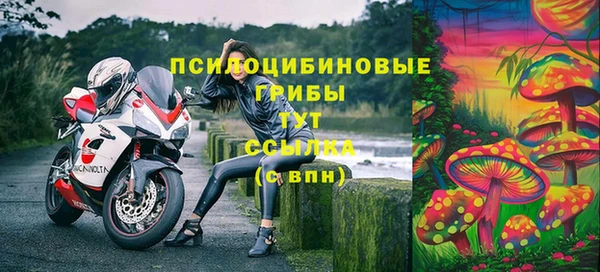 2c-b Балабаново