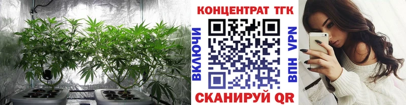 shop телеграм  Велиж  Дистиллят ТГК THC oil  гидра ССЫЛКА 
