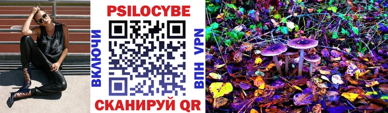 Псилоцибиновые грибы Cubensis  закладки  Велиж 